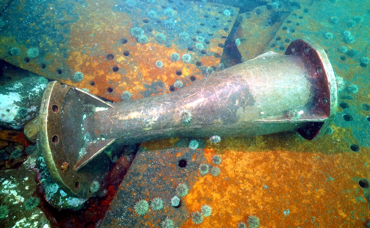 HMS Raleigh - Shipwreck Preservation Society of Newfoundland & Labrador ...