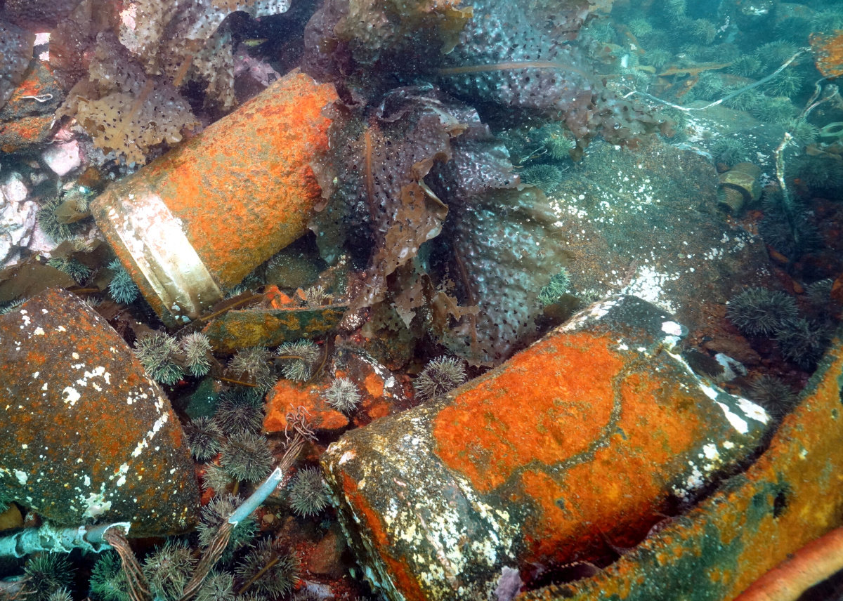 HMS Raleigh - Shipwreck Preservation Society of Newfoundland & Labrador ...