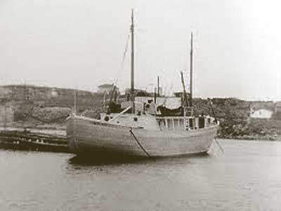 j h blackmore mv