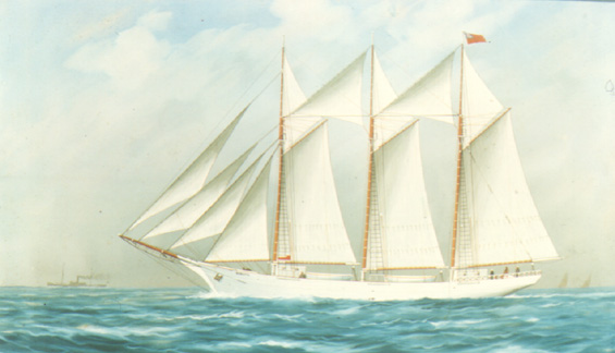pf008 056